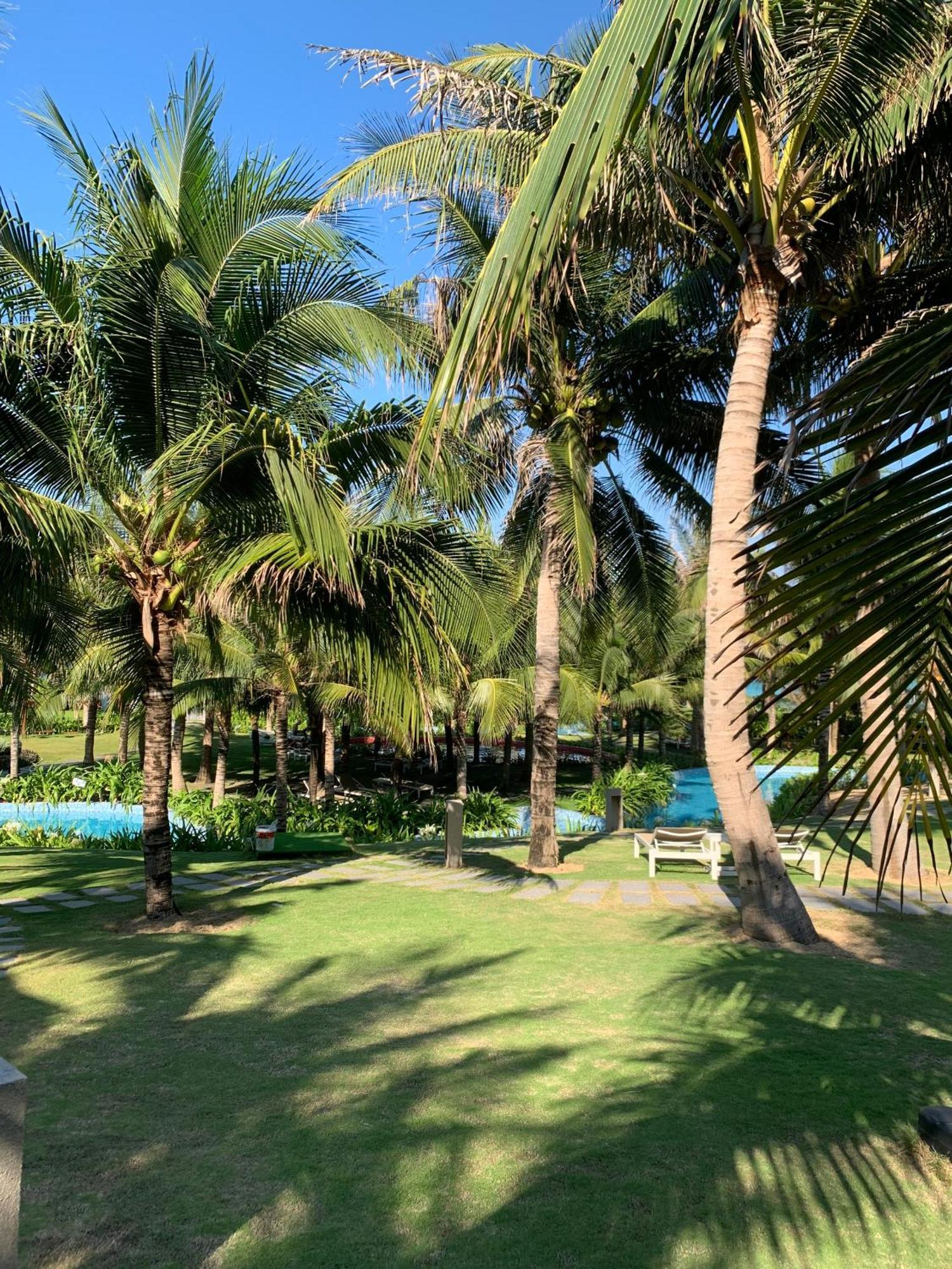 The Area In * Cam Ranh