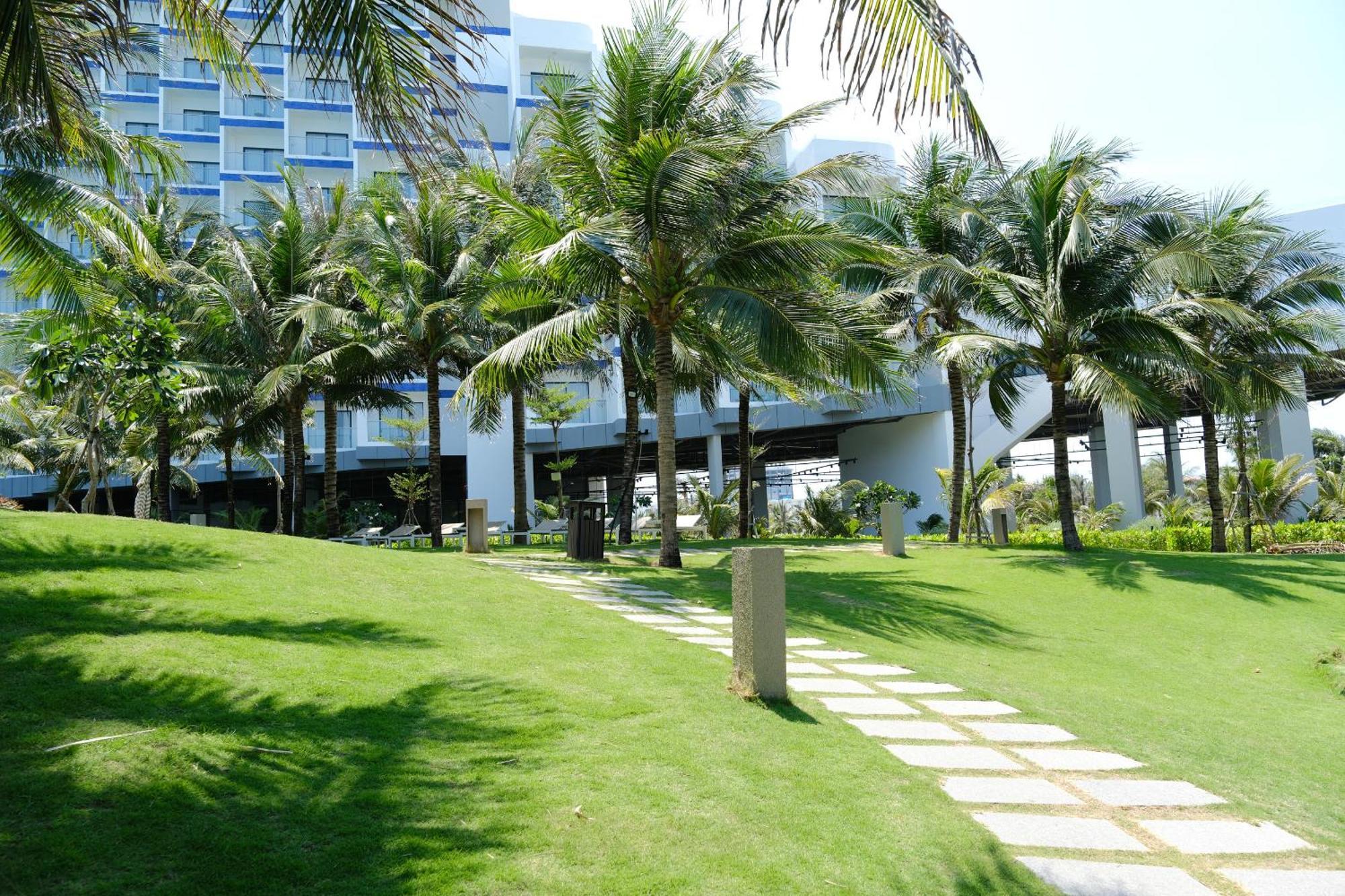 The Area In