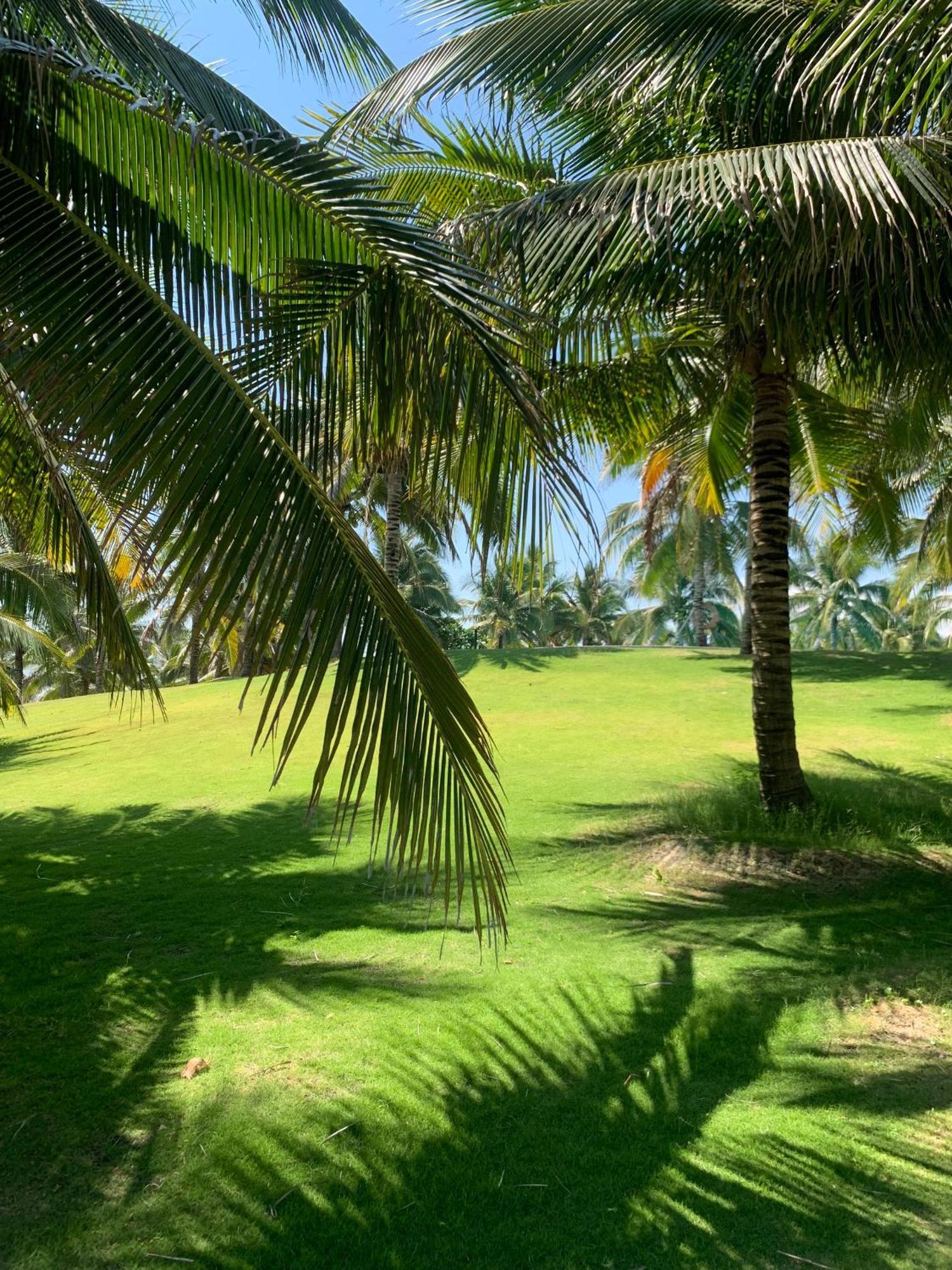 The Area In Apartment Cam Ranh